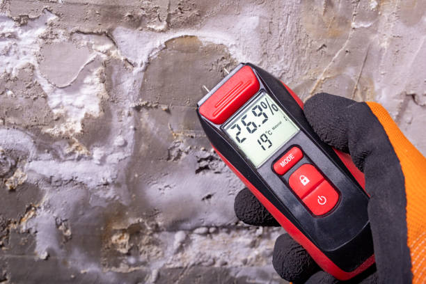Best Commercial Mold Remediation in Stanaford, WV
