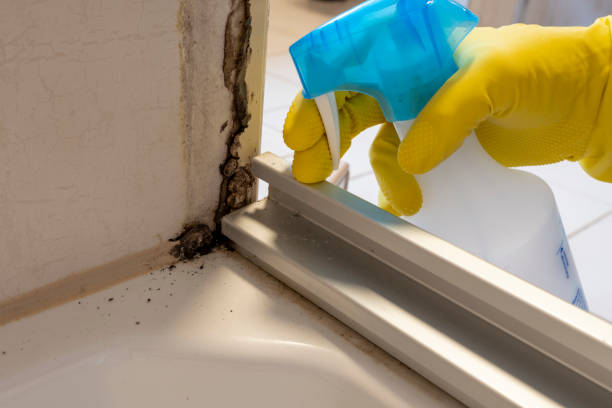 Best Mold Remediation for Specific Building Types in Stanaford, WV