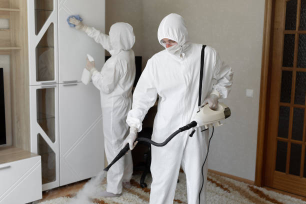 Best Health and Safety Mold Remediation in Stanaford, WV
