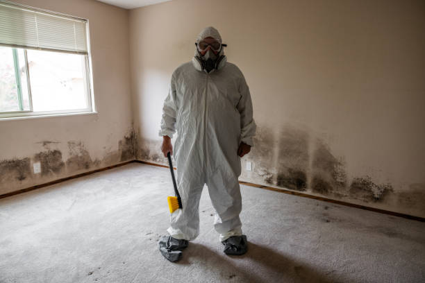 Best Post-Remediation Services in Stanaford, WV